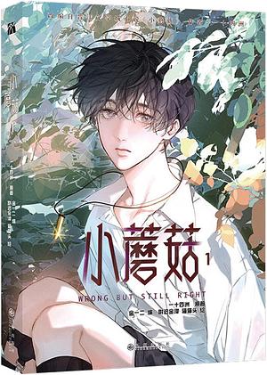小蘑菇 1: Wrong But Still Right by 一十四洲