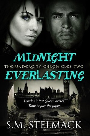 Midnight Everlasting by S.M. Stelmack