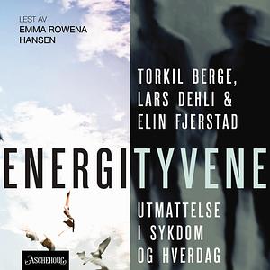 Energityvene by Elin Fjerstad, Lars Dehli, Torkil Berge