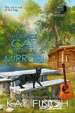 The Black Cat Breaks a Mirror by Kay Finch