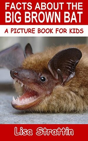 Facts About The Big Brown Bat by Lisa Strattin