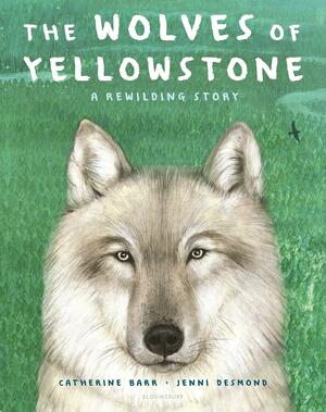 The Wolves of Yellowstone: A Rewilding Story by Catherine Barr, Jenni Desmond