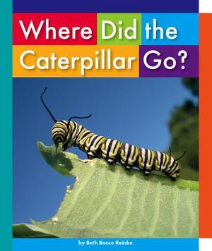 Where Did the Caterpillar Go? by Beth Bence Reinke