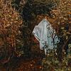 morbidcourtosities's profile picture