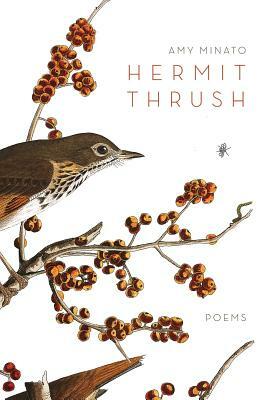 Hermit Thrush by Amy Minato