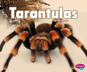 Tarantulas by Jeni Wittrock