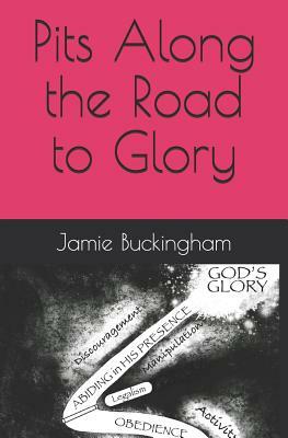 Pits Along the Road to Glory by Jamie Buckingham