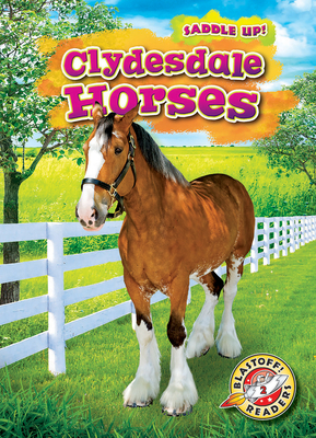 Clydesdale Horses by Rachel Grack