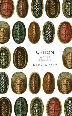 Chiton & Other Creatures by Nicholas Neely