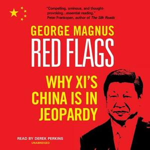 Red Flags: Why Xi's China Is in Jeopardy by George Magnus