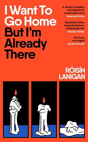 I Want To Go Home But I'm Already There by Roisin Lanigan