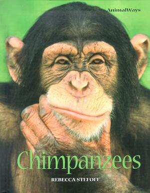 Chimpanzees by Rebecca Stefoff