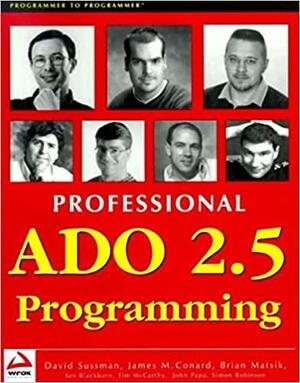 Professional ADO 2.5 Programm Ing by David Sussman, Brian Matsik