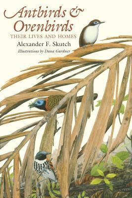 Antbirds and Ovenbirds: Their Lives and Homes by Alexander F. Skutch