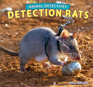 Detection Rats by Rosie Albright