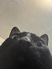 b4mbi20's profile picture