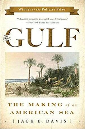 The Gulf: The Making of An American Sea by Jack Emerson Davis
