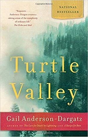 Turtle Valley by Gail Anderson-Dargatz