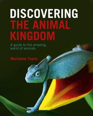 Discovering the Animal Kingdom: A Guide to the Amazing World of Animals by Marianne Taylor