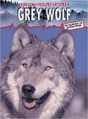 Grey Wolf. Jill Bailey by Jill Bailey