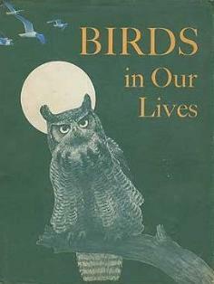 Birds In Our Lives by Bob Hines, Alfred Stefferud