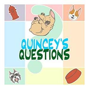 Quincey's Questions by Dave Pardew, Elizabeth Suggs
