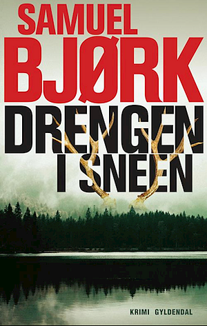 Drengen i sneen by Samuel Bjørk