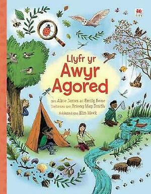 Llyfr yr Awyr Agored by Alice James, Emily Bone