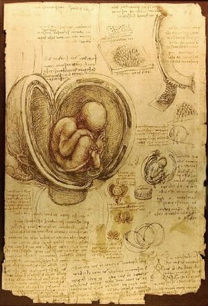 The Notebooks of Leonardo Di Vinci by Leonardo da Vinci