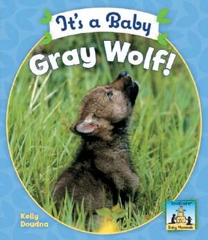 It's a Baby Gray Wolf! by Kelly Doudna