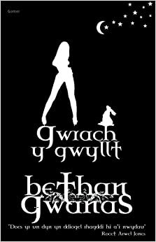 Gwrach y Gwyllt by Bethan Gwanas