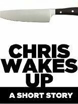 Chris Wakes Up by Sean Platt, David W. Wright