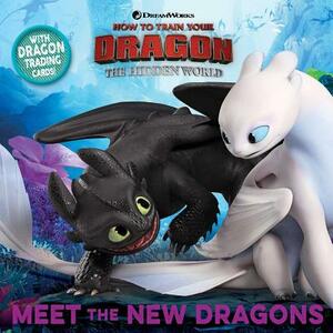 Meet the New Dragons by 