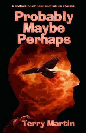 Probably Maybe Perhaps by Terry Martin