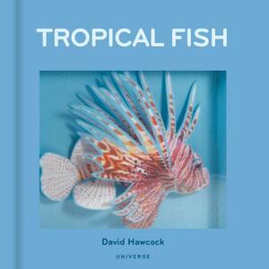 Tropical Fish: Pop-Up by David Hawcock