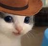 cowboiryan's profile picture