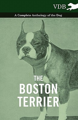 The Boston Terrier - A Complete Anthology of the Dog - by Various