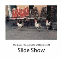 Slide Show: The Color Photographs of Helen Levitt by Helen Levitt, John Szarkowski