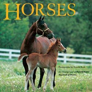 Horses: An Abridgement of Harold Roth's Big Book of Horses by Laura Driscoll