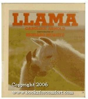 Llama by Caroline Arnold