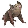 skrullpup's profile picture