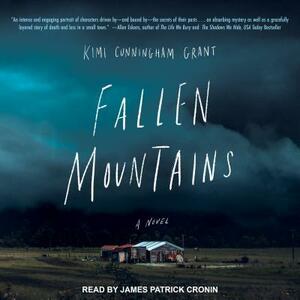 Fallen Mountains by Kimi Cunningham Grant