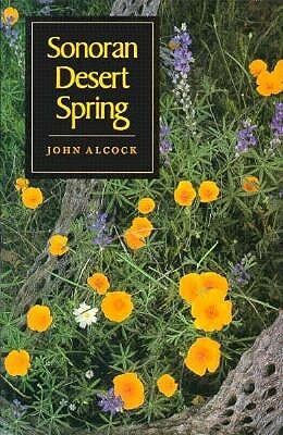 Sonoran Desert Spring by John Alcock