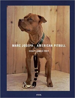 American Pitbull by James Frey, Cory Reynolds, Marc Joseph