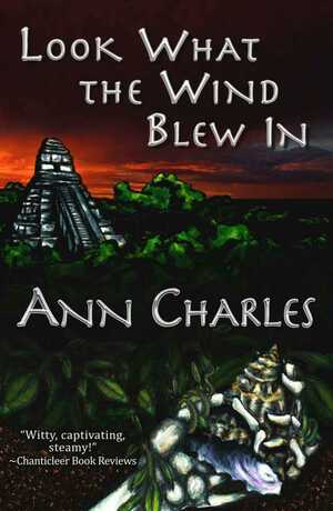 Look What the Wind Blew In by Ann Charles