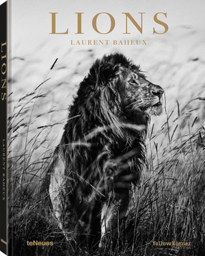 Lions by 