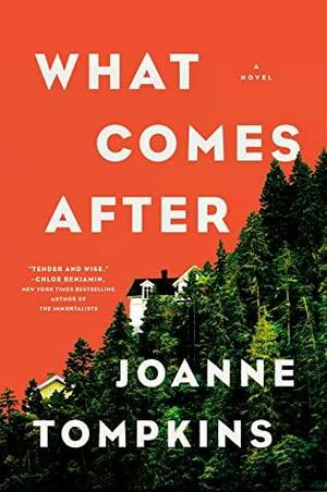 What Comes After: A Novel by Joanne Tompkins, Joanne Tompkins