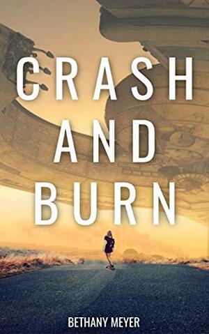 Crash and Burn by Bethany Meyer