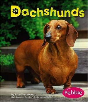 Dachshunds by Lisa Trumbauer, Jennifer Zablotny, Gail Saunders-Smith