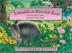 Armadillo at Riverside Road by Laura Gates Galvin